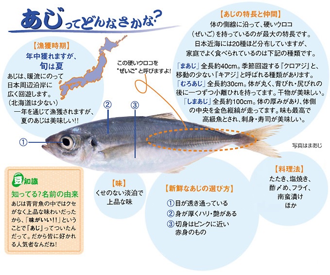 あじについて