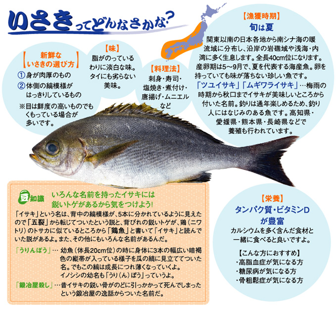 いさき レシピ 魚耕ホールディングス いさき レシピ 魚耕ホールディングス