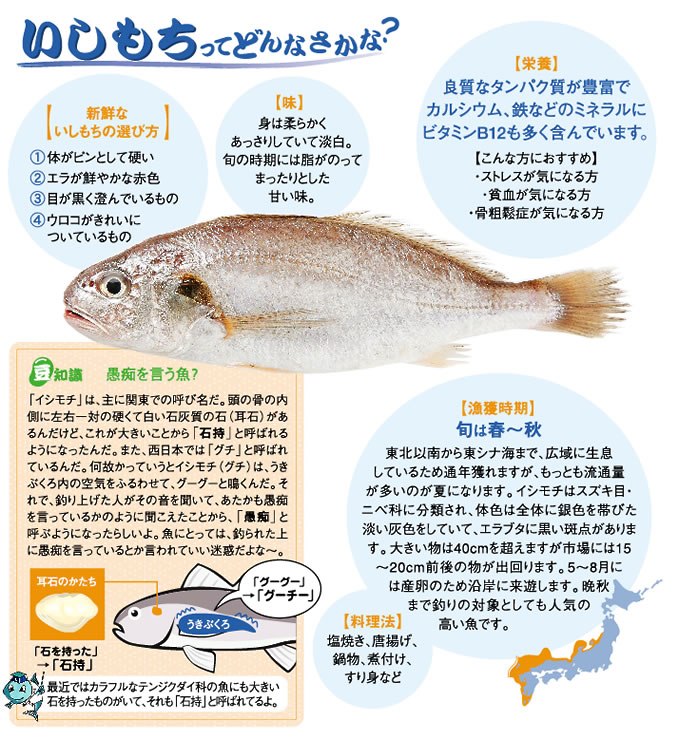 いしもち レシピ 魚耕ホールディングス