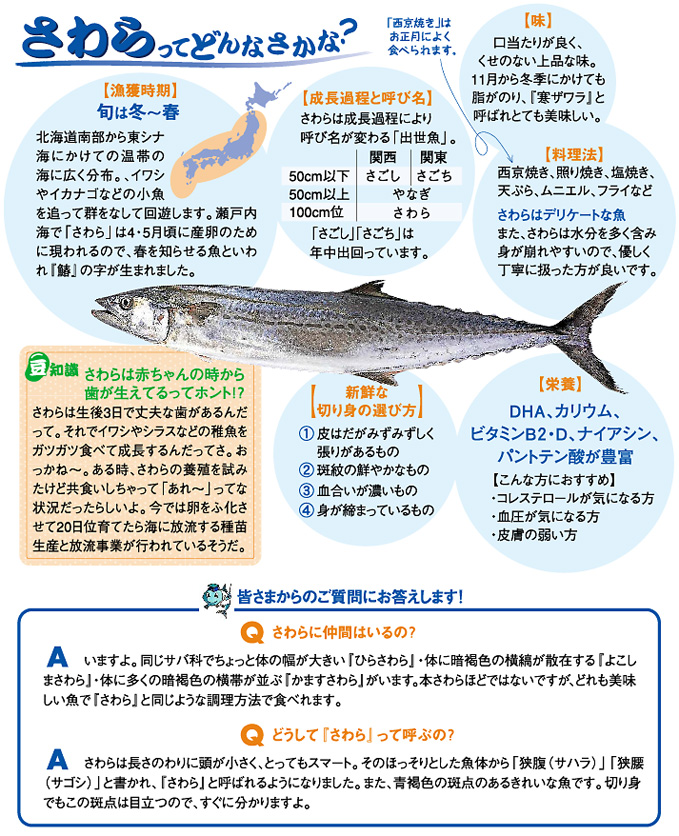 さわら レシピ 魚耕ホールディングス
