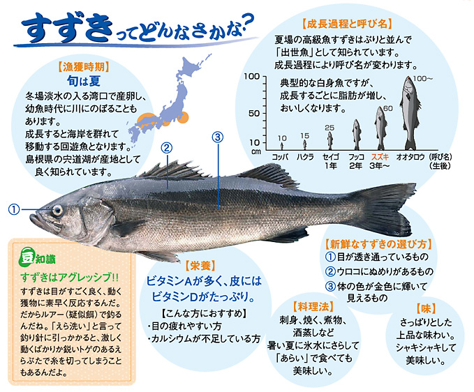 すずき レシピ 魚耕ホールディングス