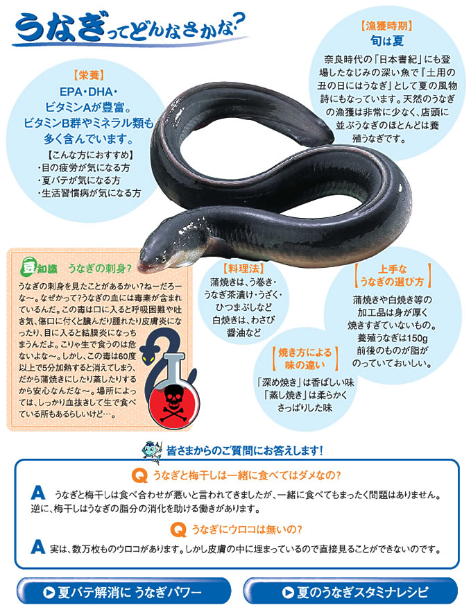 うなぎ レシピ 魚耕ホールディングス